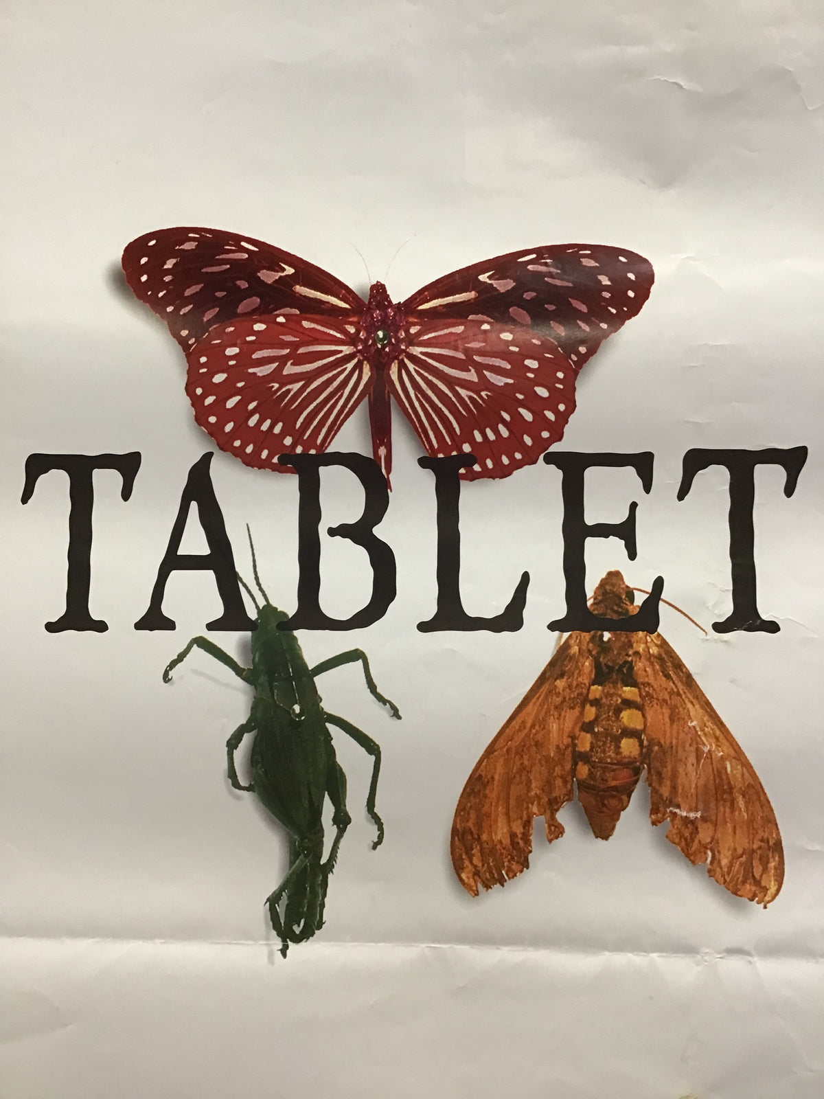 Tablet - Promo Poster for Pinned