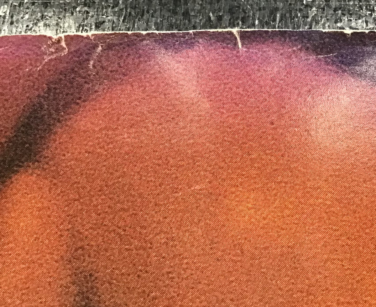 Curve - Promo Poster for Doppelganger