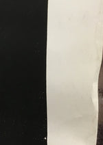 Sting - Nothing like the Sun Promo Poster
