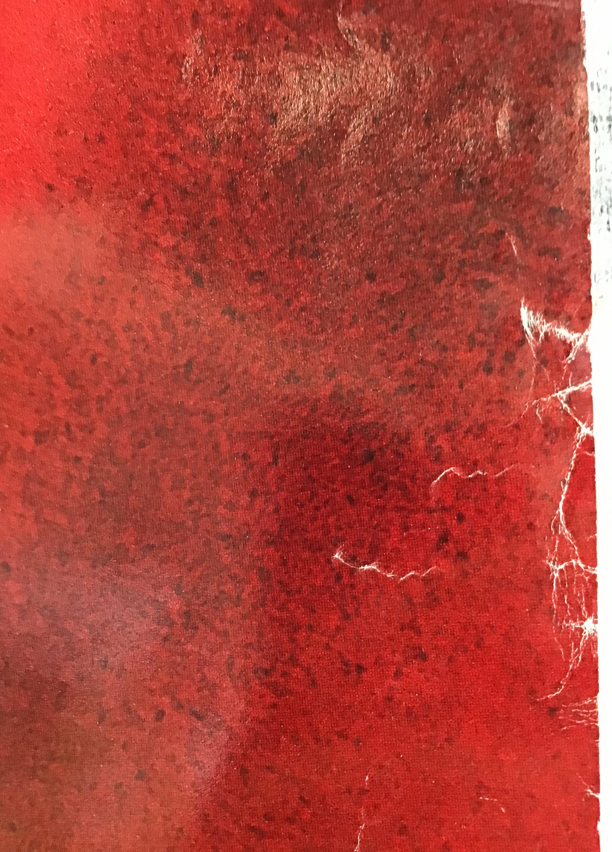 A close-up of a textured red surface with mottled darker red and black speckles, a soft light reflection on the left, and a white vertical edge on the right.