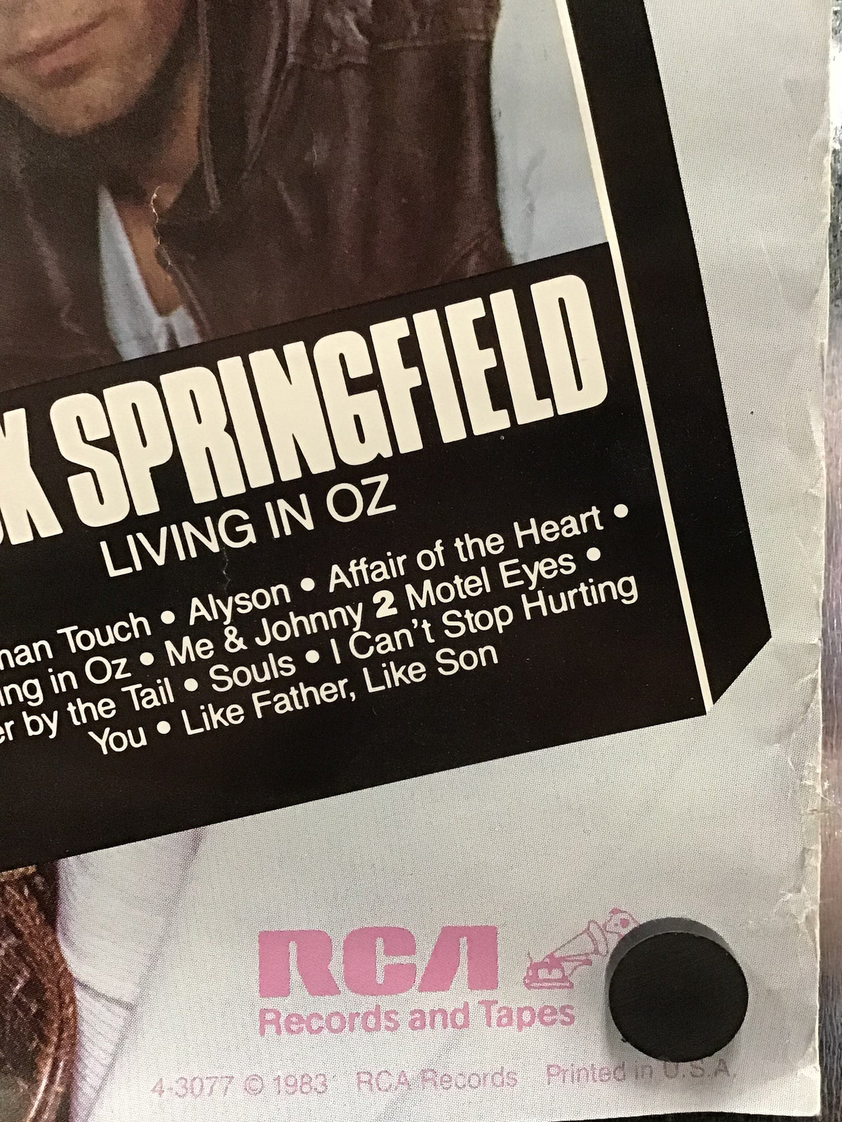 Rick Springfield - Living in Oz Promo Poster