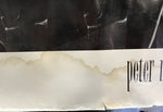 Peter Murphy - Promo Poster