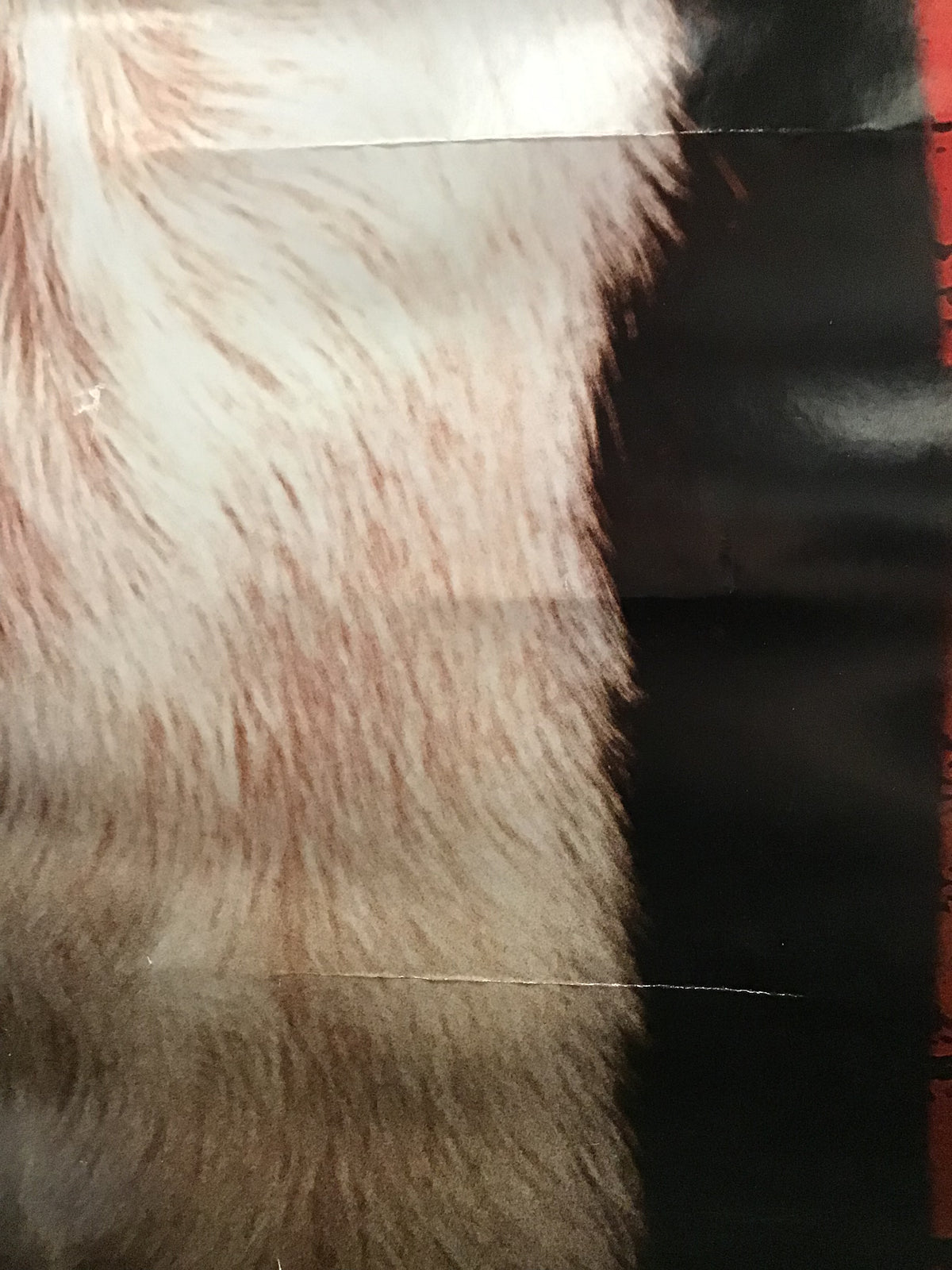 Strays - Promo Poster
