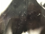 Chris Duarte Group - Texas Sugar/Strat Magik Promo Poster