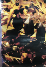 Miranda Sex Garden - Iris Promo Poster
