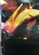 Miranda Sex Garden - Iris Promo Poster
