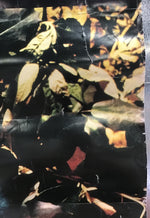 Miranda Sex Garden - Iris Promo Poster