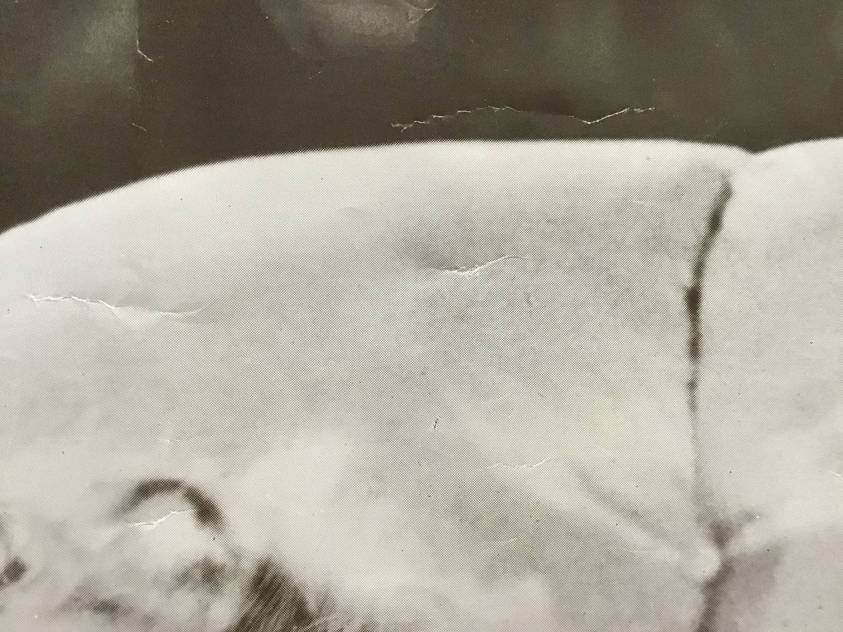 Marilyn Monroe - Poster