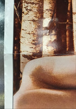 Far North - Promo Poster