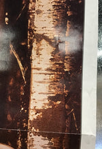 Far North - Promo Poster