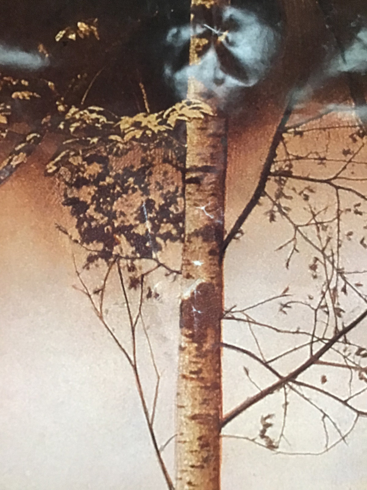 Far North - Promo Poster