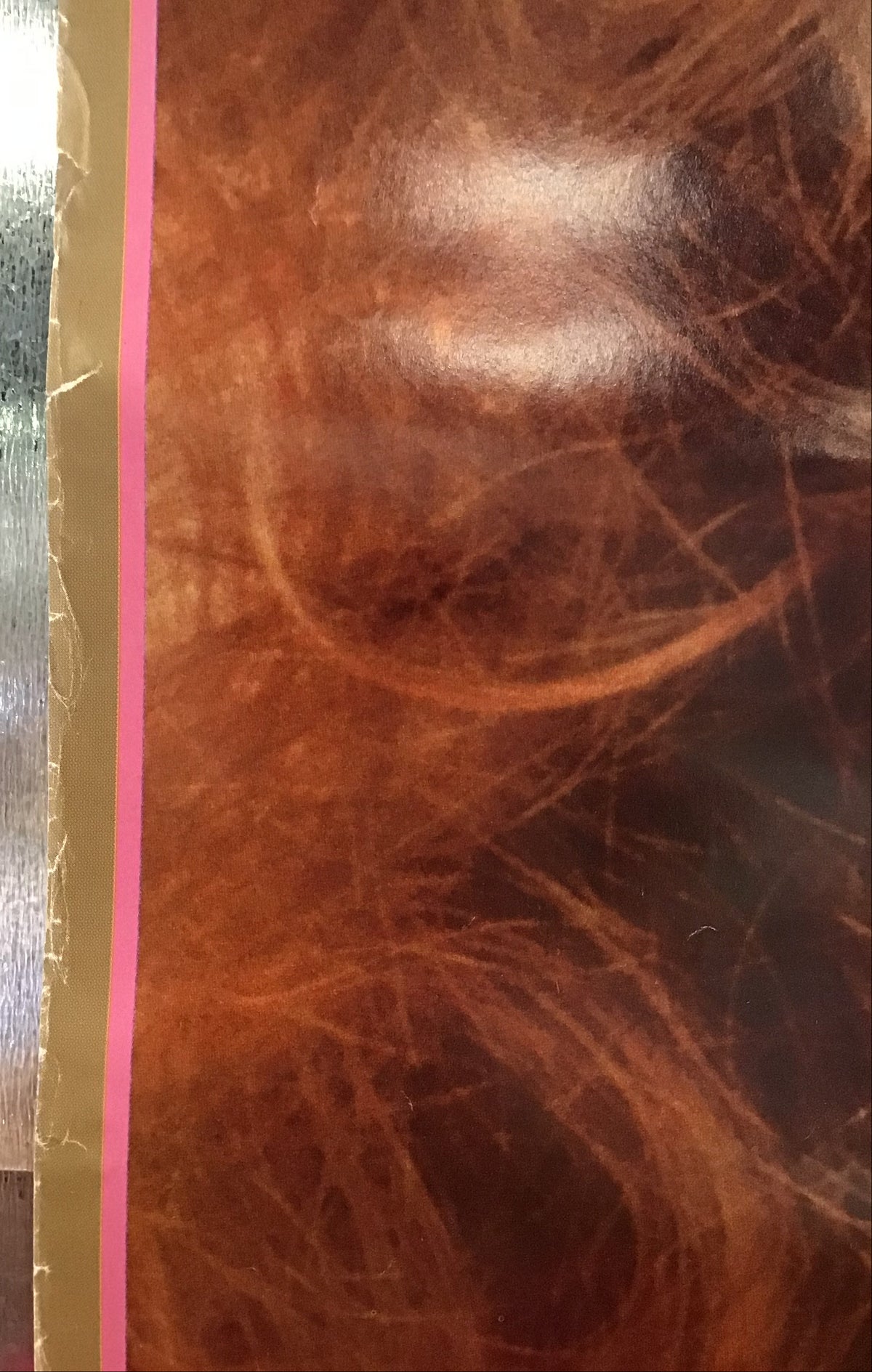 Playboy - Video Centerfold Promo Poster
