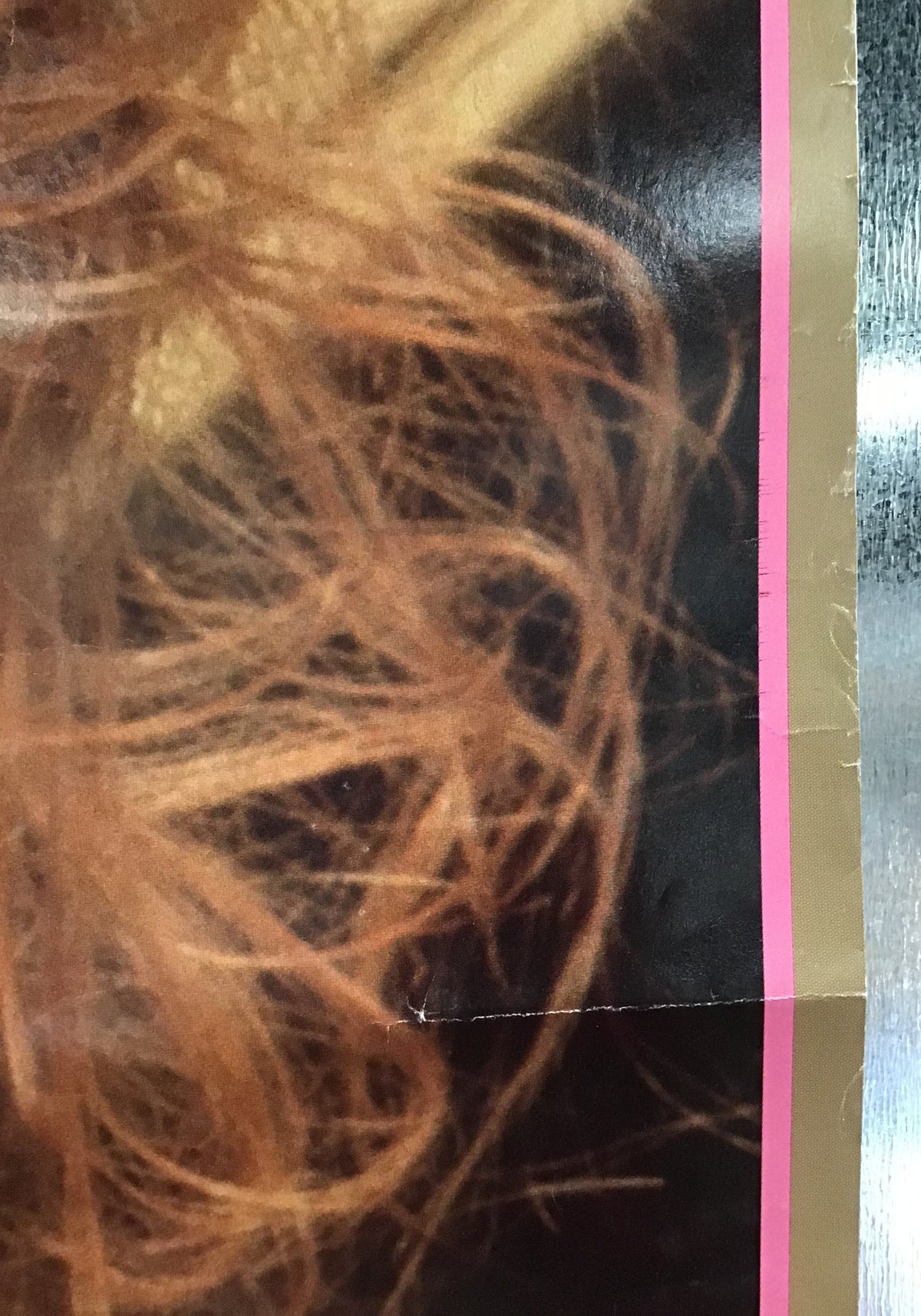 Playboy - Video Centerfold Promo Poster