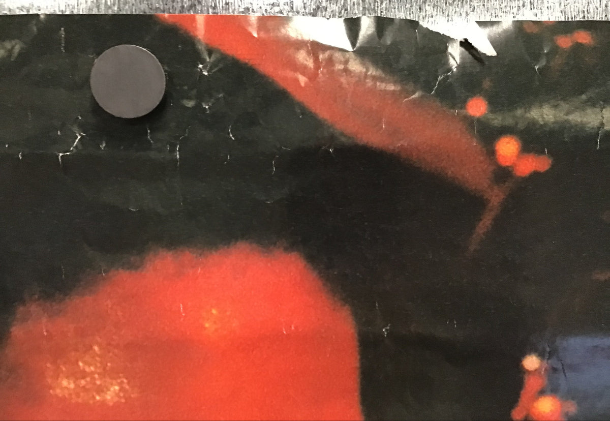 Nona Hendryx - Poster