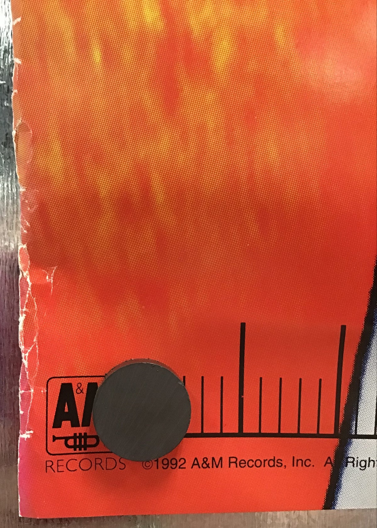 Suzanne Vega - 99.9° F Promo Poster