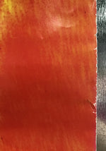 Suzanne Vega - 99.9° F Promo Poster