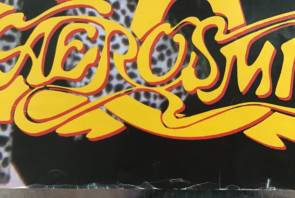 Aerosmith - Permanent Vacation Promo Poster