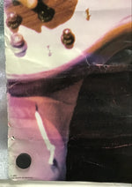 Van Halen - Poster of Michael Anthony