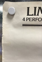 A Delicate Balance - Performance Promo Poster