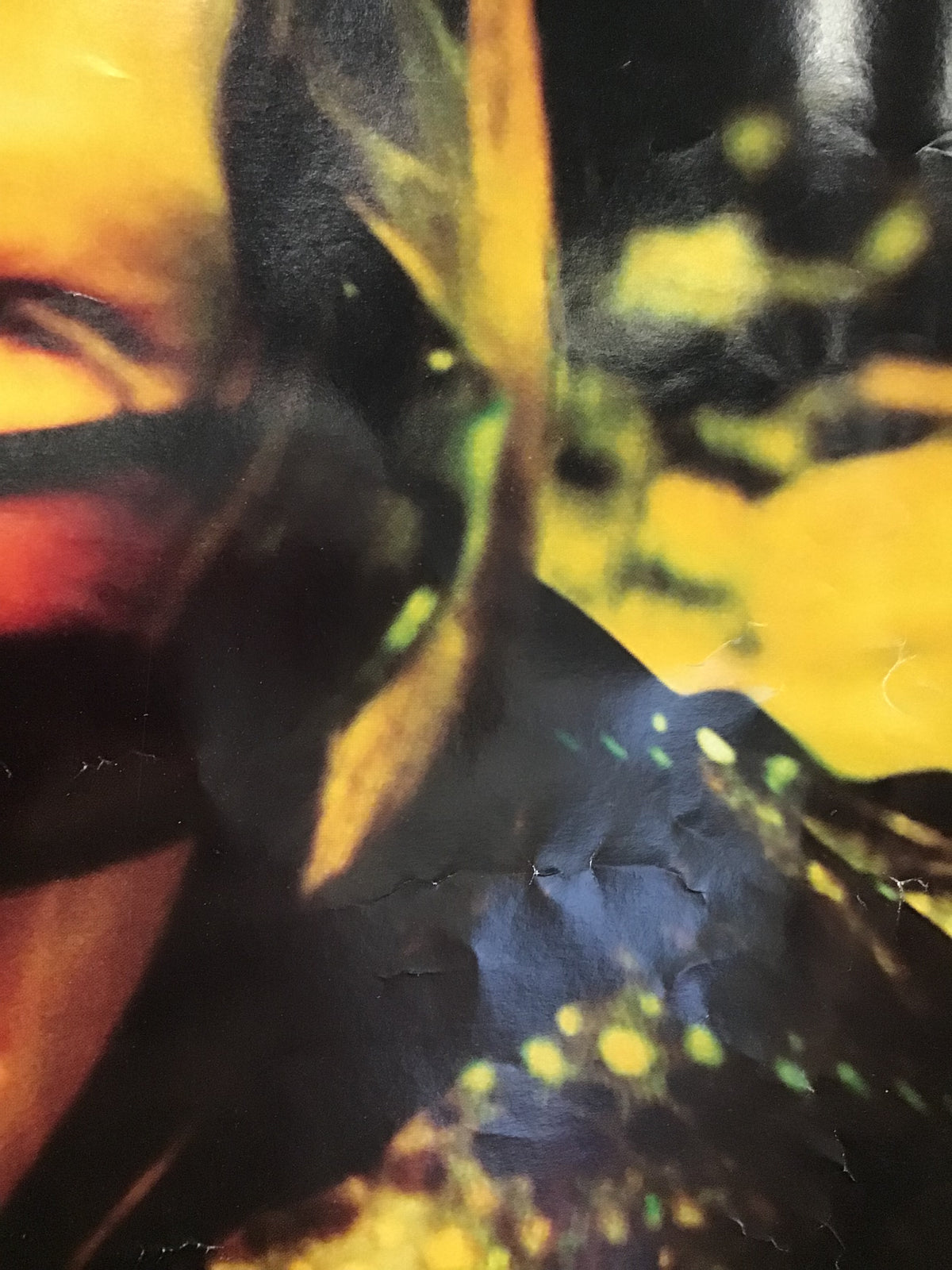 Sister 7 - This The Trip Promo Poster