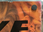 Curve - Promo Poster for Doppelganger