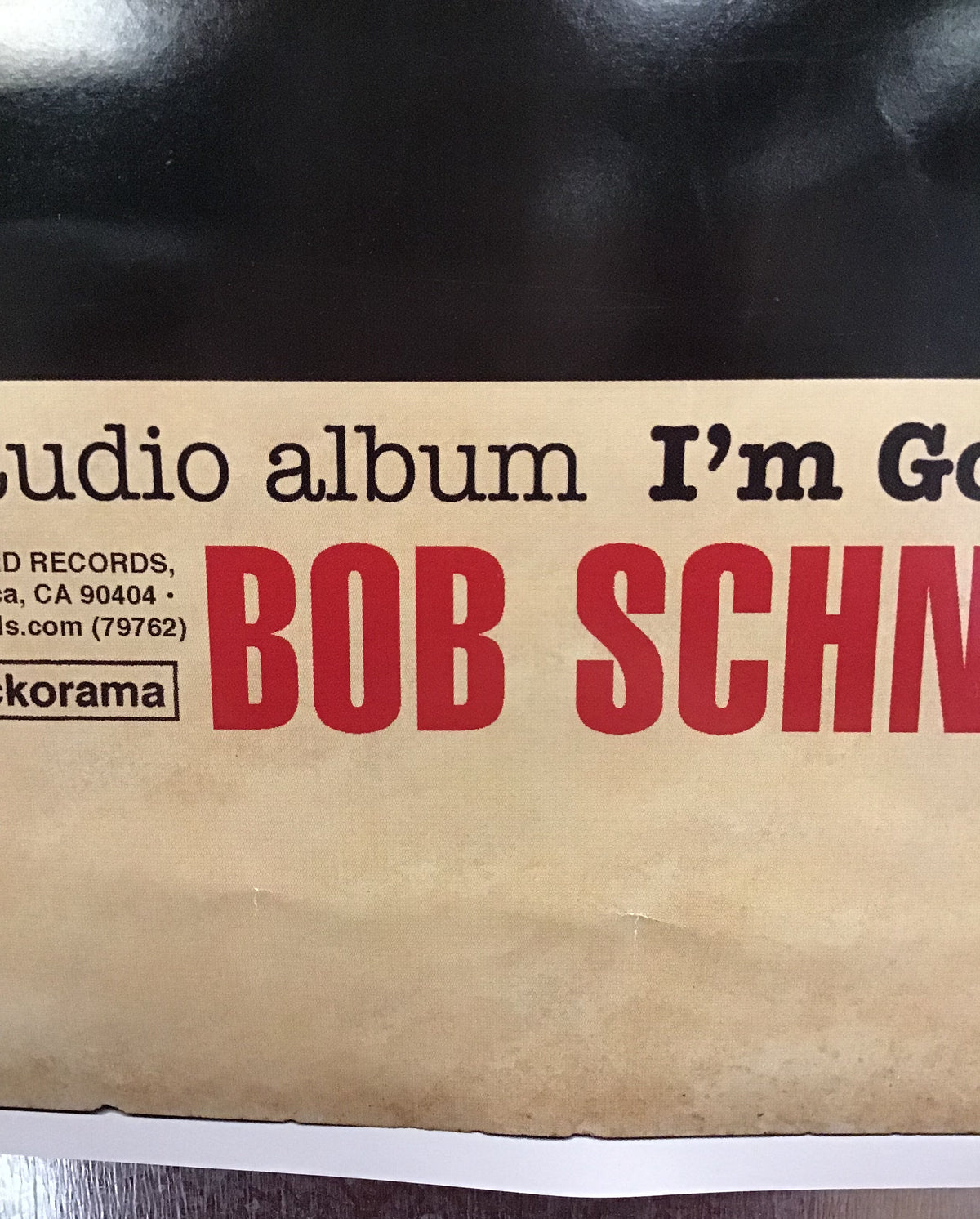 Bob Schneider - I'm Good Now Promo Poster