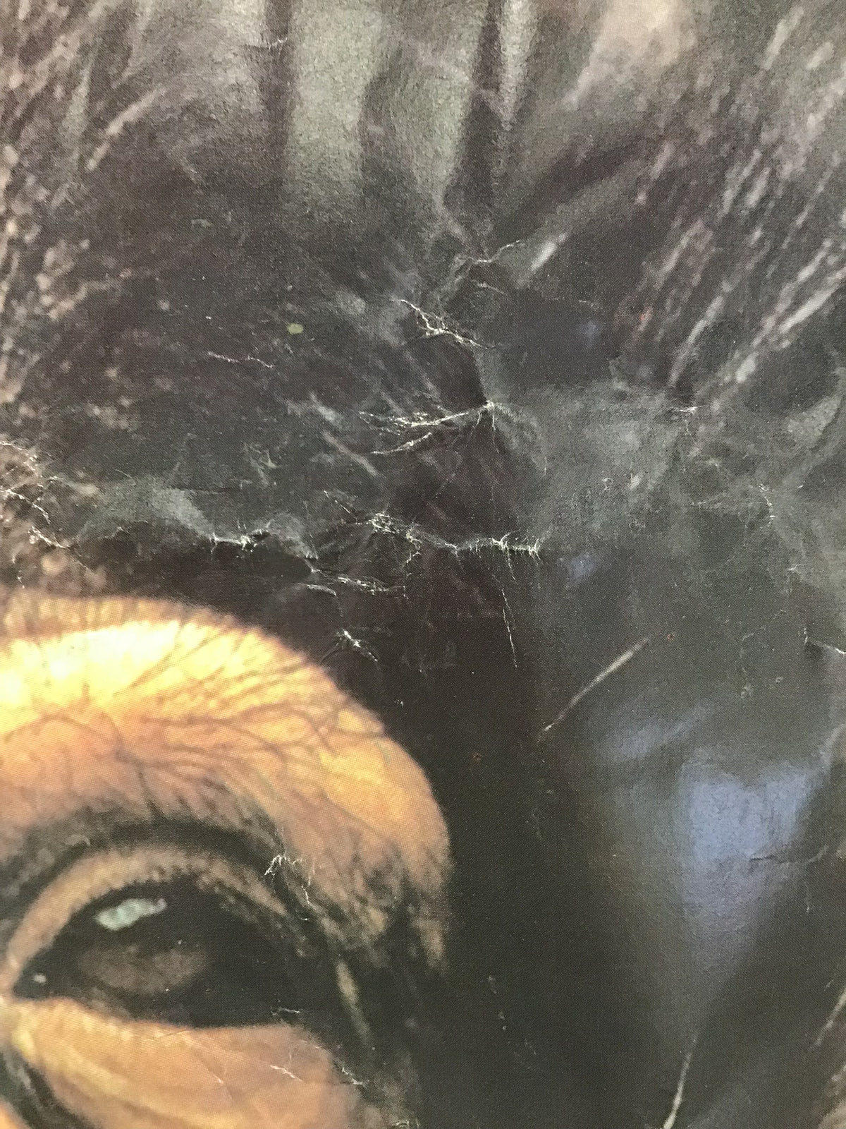 "He Is My Brother" - Vintage Chimp Poster