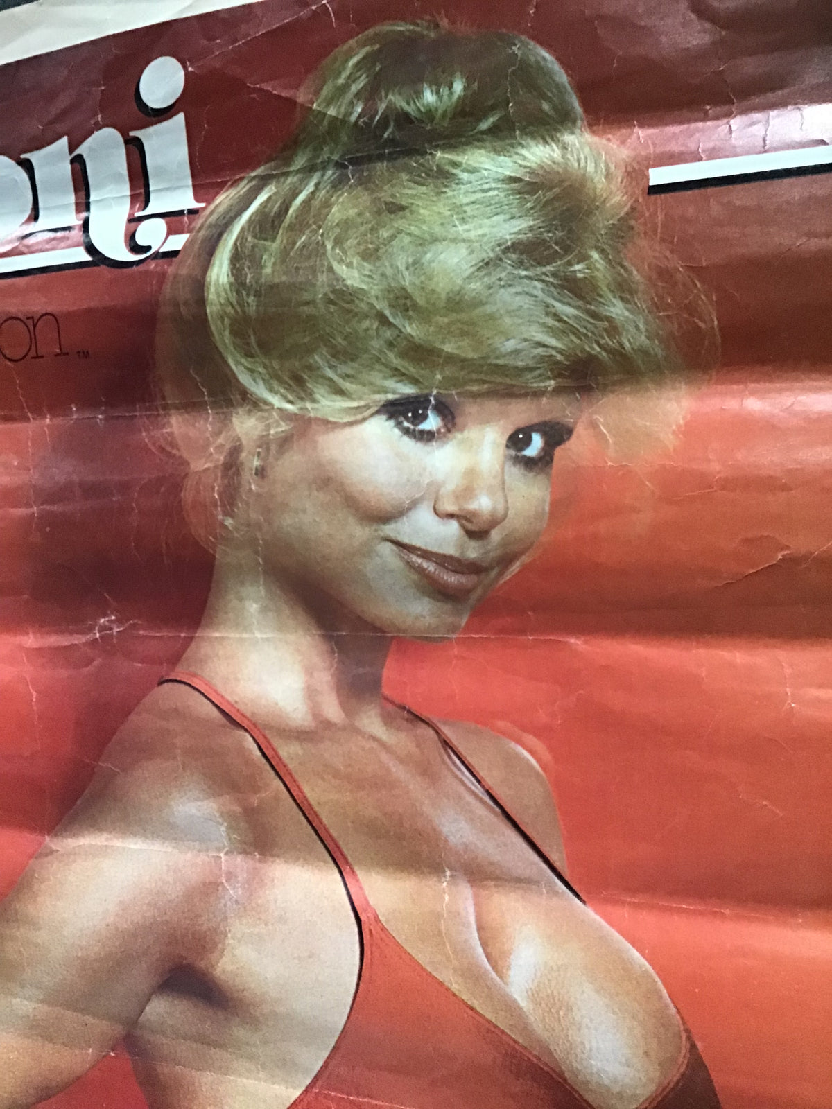 Loni Anderson - Poster