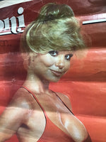Loni Anderson - Poster
