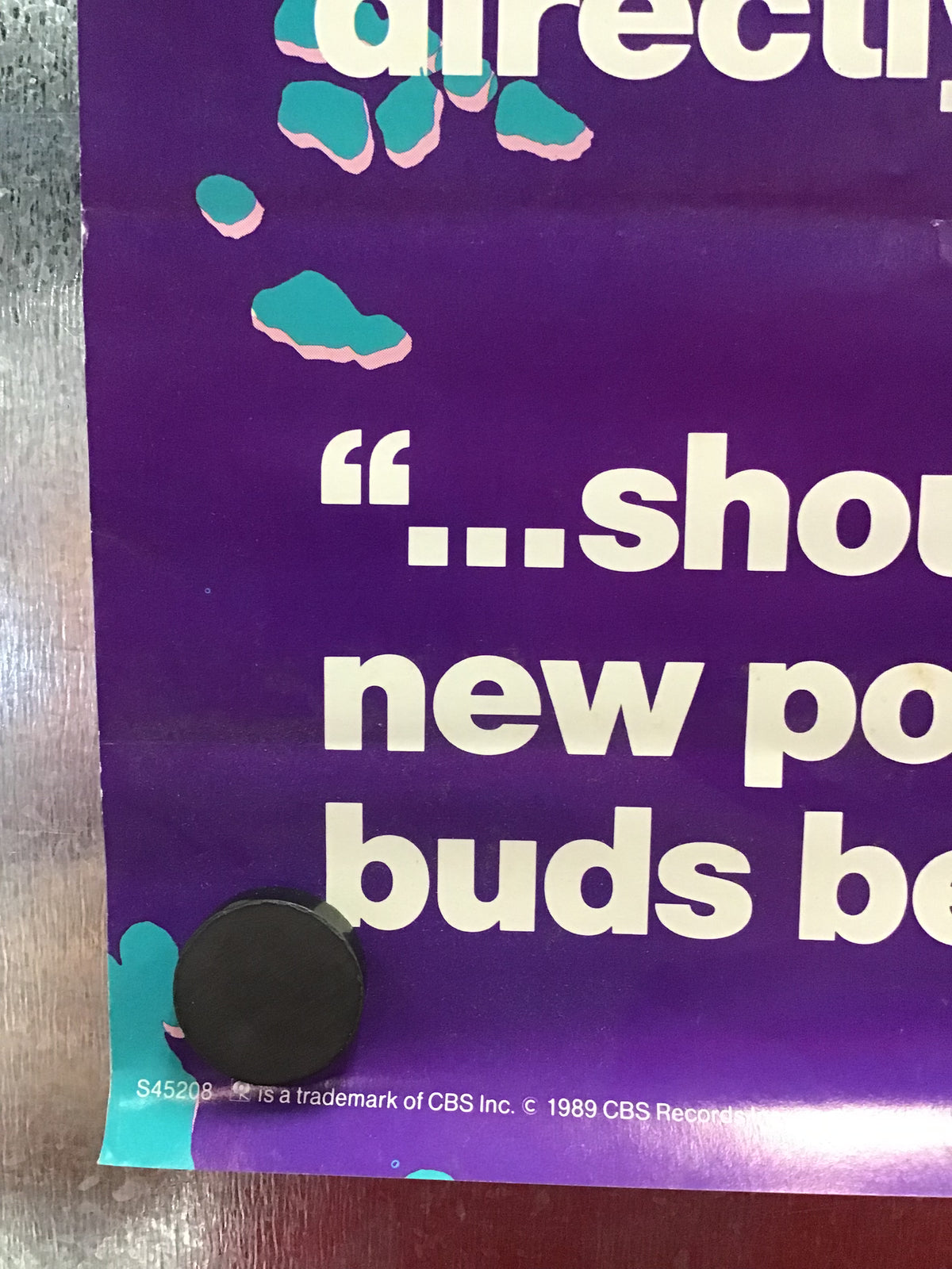 The Darling Buds - Pop Said... Promo Poster