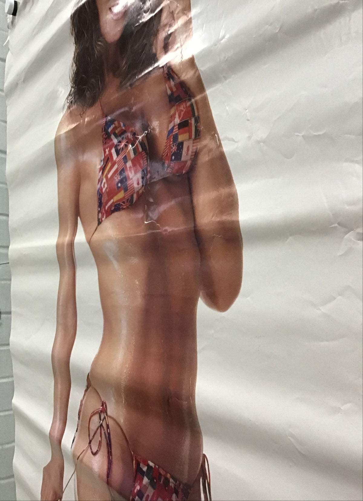 Ann Turkel - Poster