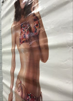 Ann Turkel - Poster