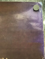 The River Rat - Promo Poster