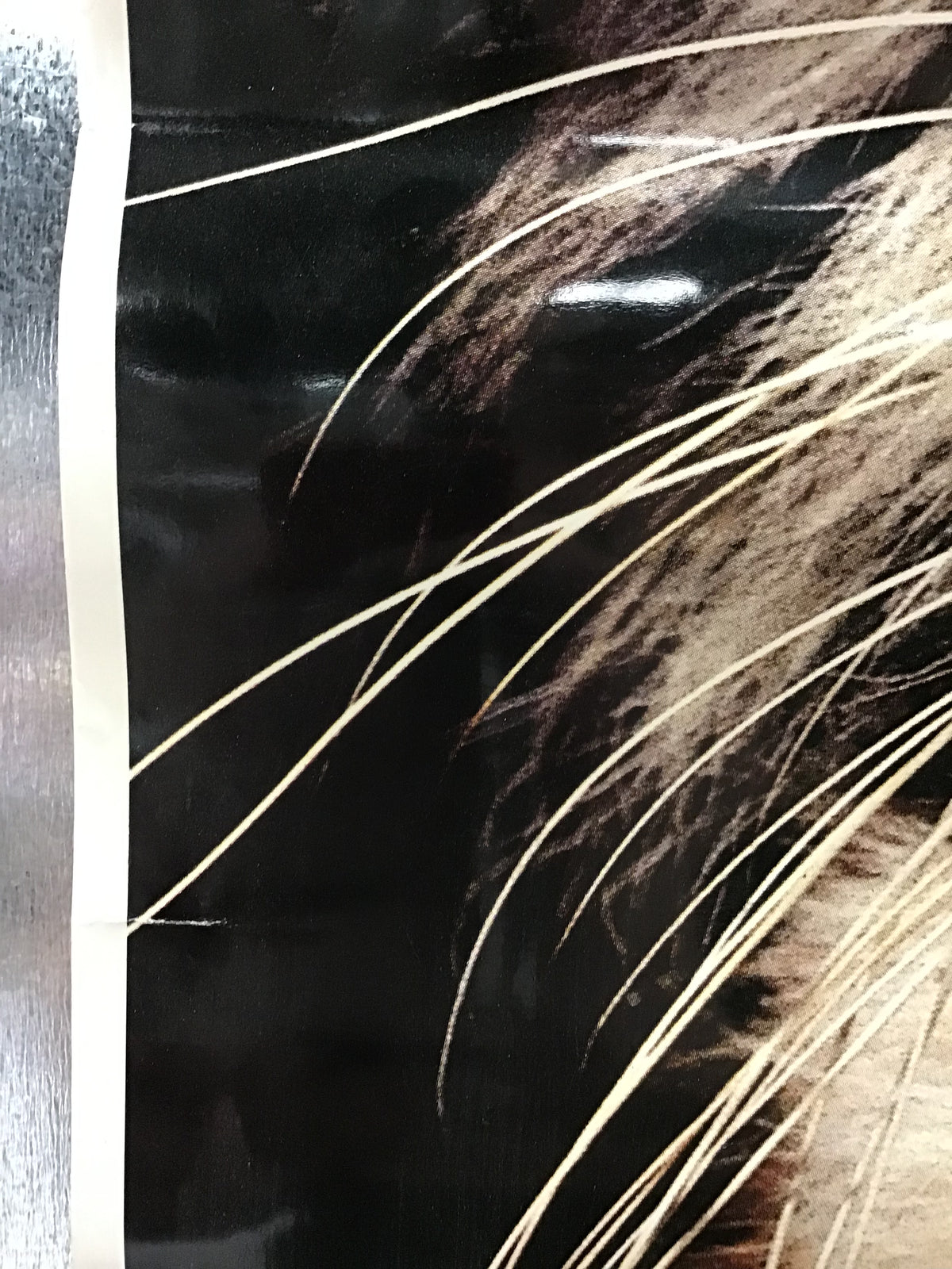Tiger - Vintage Poster
