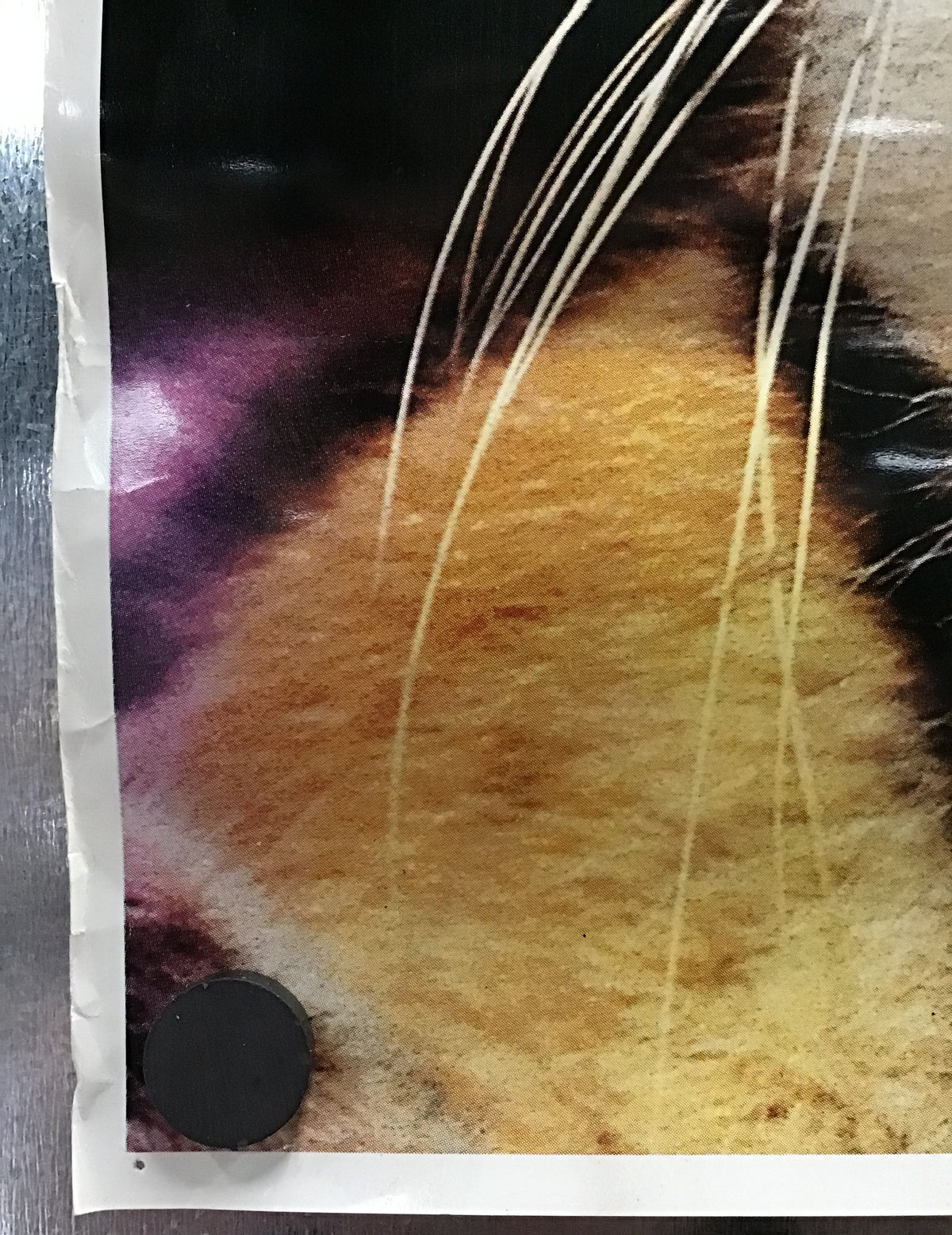 Tiger - Vintage Poster