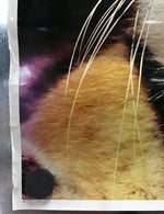 Tiger - Vintage Poster