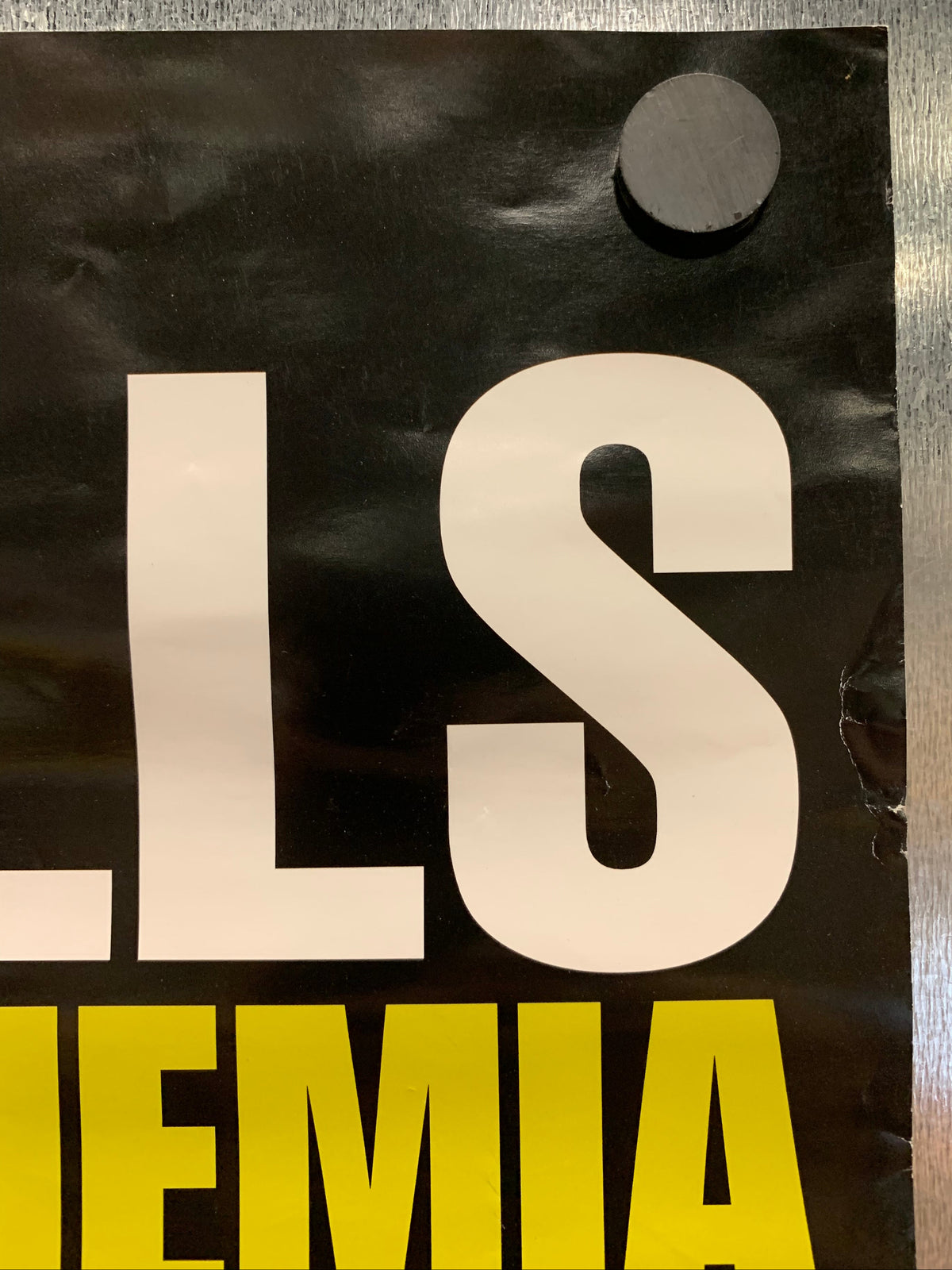 The Thrills - Let's Bottle Bohemia Promo Poster
