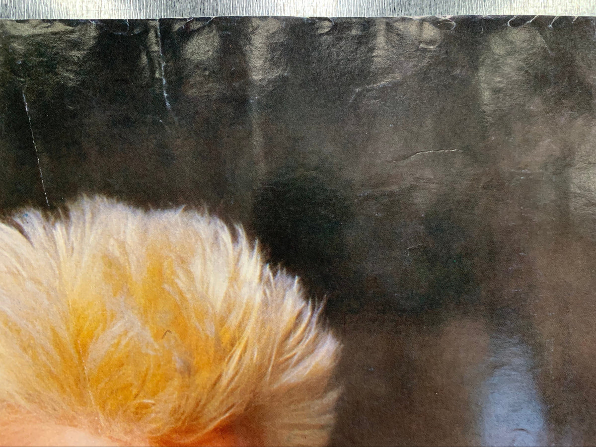 Billy Idol - Poster