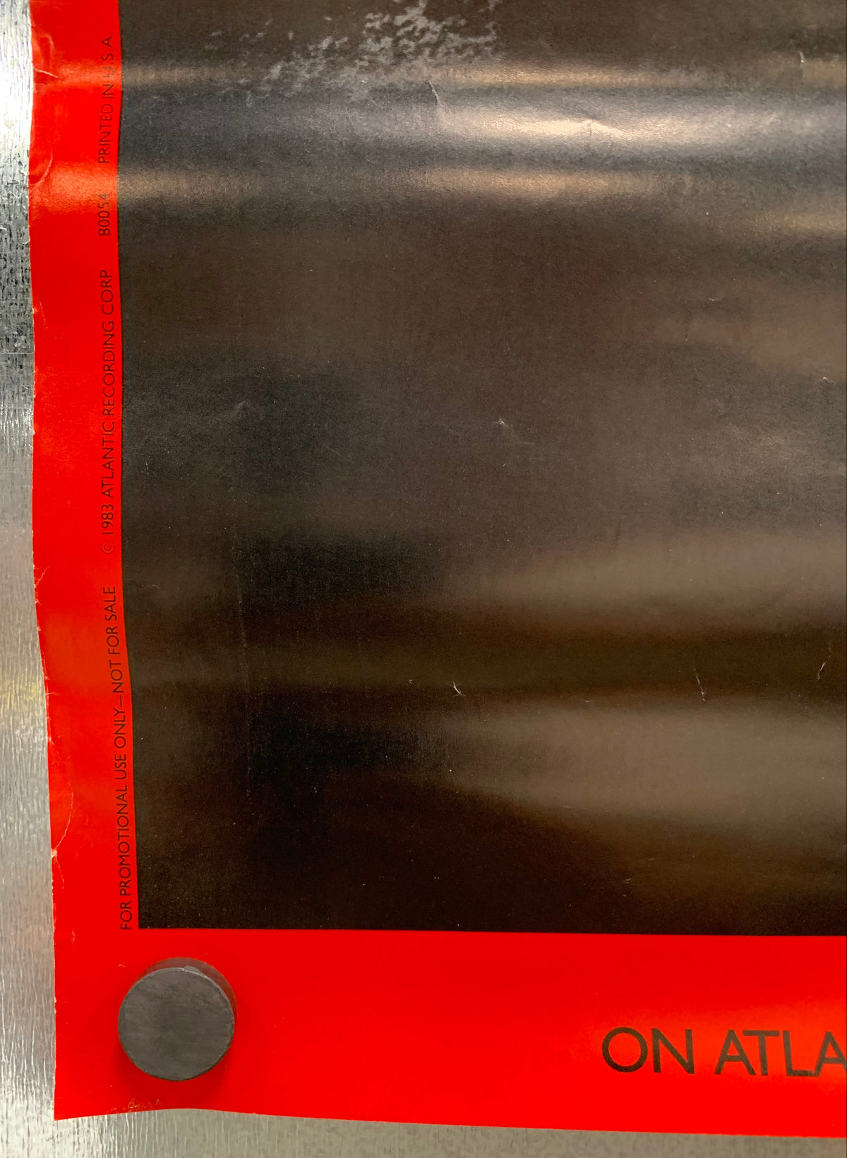 Zebra - Poster