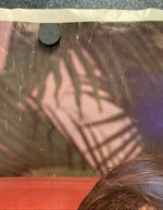 Wild 'n' Wet - Male Pin-up Poster