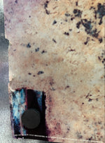 Screaming Trees - Sweet Oblivion Promo Poster