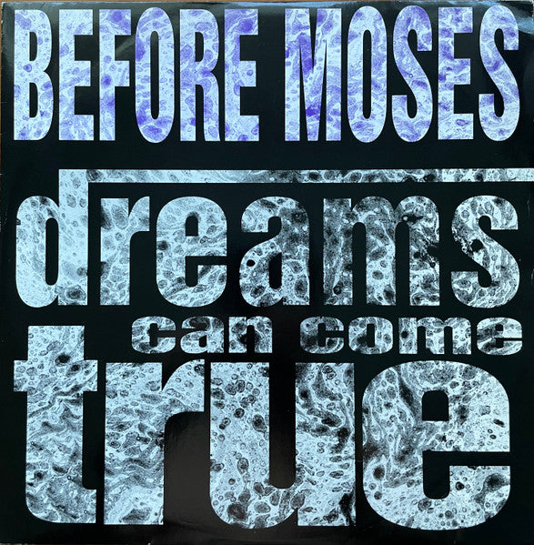 Before Moses : Dreams Can Come True (12", Single)