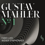 the album cover for Fabio Luisi - Symphony No. 1