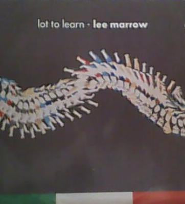 Lee Marrow : Lot To Learn (12")