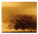 the album cover for Infinite Light - Infinite Light