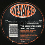 The Jam Experience : Feel My Love (12")