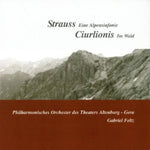 the album cover for Gabriel Feltz - An Alpine Symphony / Miske