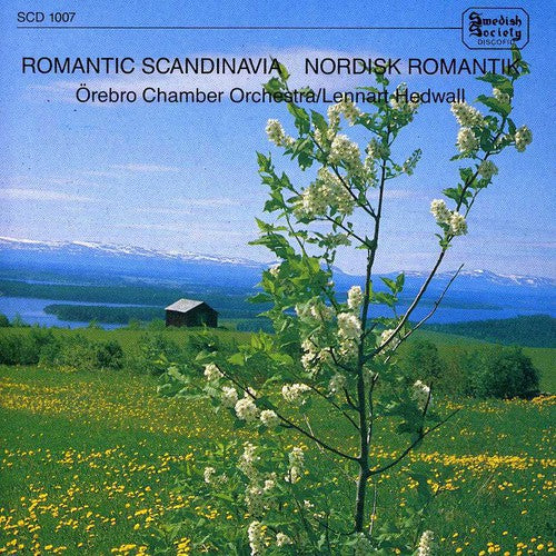 the album cover for Hedwall / Orebro Chamber Orch - Romantic Scandinavia
