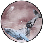 the album cover for Mestis - Basal Ganglia