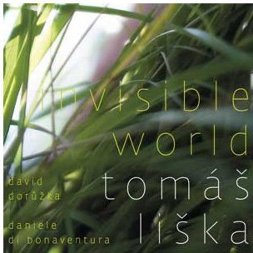 the album cover for Tomas Liska - Invisible World